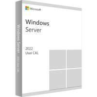 Microsoft Windows Server 2022 User CAL 1 CAL Lizenzzugriff für Server Blitzversand