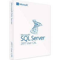 Microsoft SQL Server 2017 User CAL Zertifiziert ESD